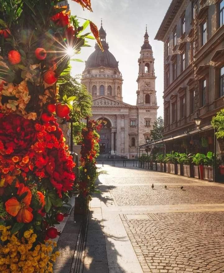Downtown Elegance Apartment Budapest Bagian luar foto